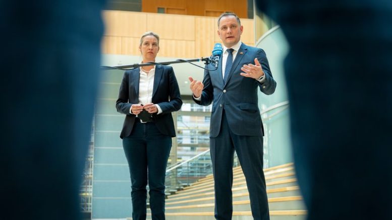 Alice Weidel will AfD mit Tino Chrupalla in den Wahlkampf 